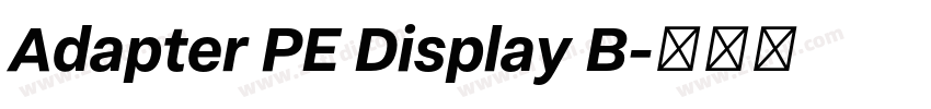Adapter PE Display B字体转换
